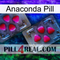 Anaconda Pill 15